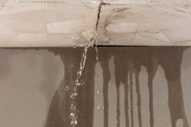Professional Structural Drying technician working in Comfort, TX